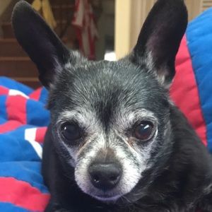 Meet your Posher, Erika